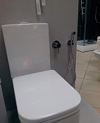 Гигиенический душ Kludi Bozz 389990576 со смесителем , изображение 4