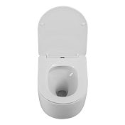 Унитаз подвесной BelBagno Soft-Tor BB084CH-TOR/BB051SC , изображение 6