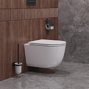 Унитаз подвесной Cezares Relax CZR-3806-53-TH-TOR/SC , изображение 12