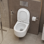 Унитаз подвесной BelBagno Soft-Tor BB084CH-TOR/BB2034SC , изображение 10