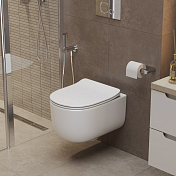 Унитаз подвесной BelBagno Soft-Tor BB084CH-TOR/BB2034SC , изображение 8