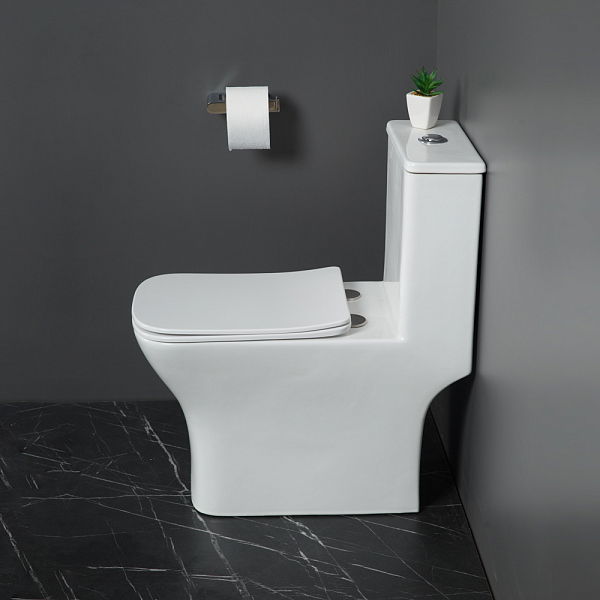 Унитаз-моноблок BelBagno Neon BB8617CPR-MN/SC , изображение 8