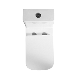 Фото Унитаз-моноблок BelBagno Neon BB8617CPR-MN/SC