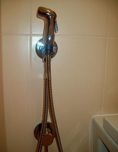 Гигиенический душ Kludi Bozz 389990576 со смесителем , изображение 2