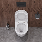 Унитаз подвесной Cezares Relax CZR-38088-49-TH-TOR/SC , изображение 13