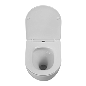 Унитаз подвесной BelBagno Amanda-Tor BB051CH-TOR-FC/BB051SC , изображение 6