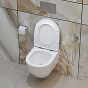 Унитаз подвесной BelBagno Amanda-Tor BB051CH-TOR-FC/BB051SC , изображение 16